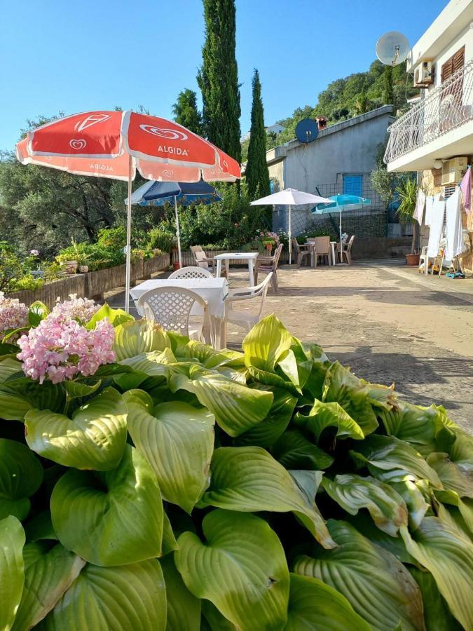 Apartments Andjus Sveti Stefan Bagian luar foto